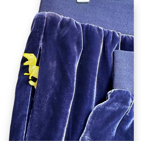 BABATON | Silk Velvet Timothy Pant Joggers in Royal Navy Size L EUC - Picture 5 of 8